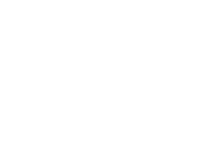 white-recruitment-solvers-logo